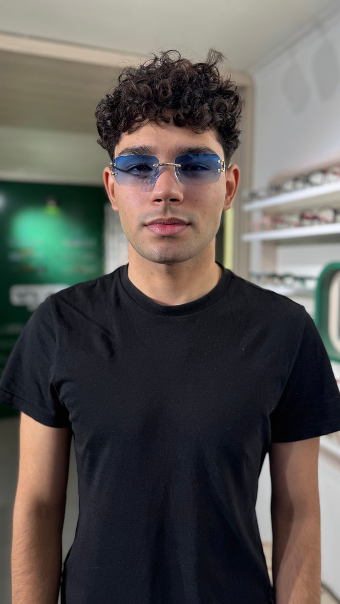 Diario VYZION